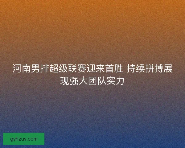 河南男排超级联赛迎来首胜 持续拼搏展现强大团队实力